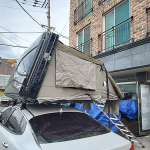 아베나키 패밀리 루프탑텐트 급매매 합니다