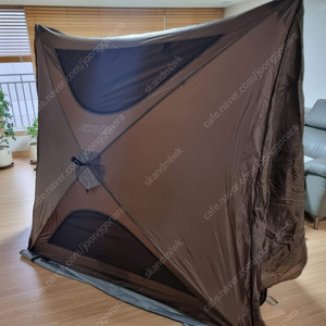 코베아 팝쉐이드(대구)