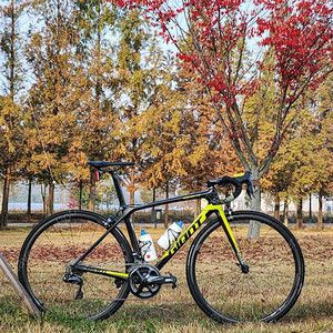 자이언트 GIANT TCR ADVANCED 0