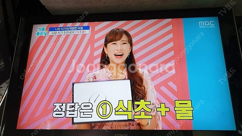 [판매] 모텔 호텔 펜션 노래방 전문 삼성 벽걸이형 4...--0