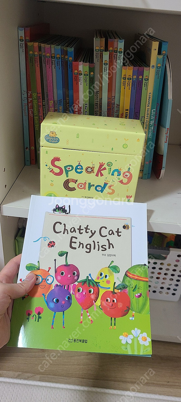 채티캣.채티켓--1