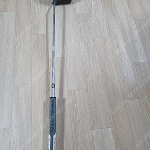 테일러메이드 스파이더 EX SR 싱글밴드 판매