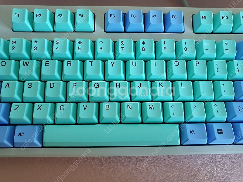 리얼포스 R2SA-US3-TB-L 30g 민트블루 + ...--1