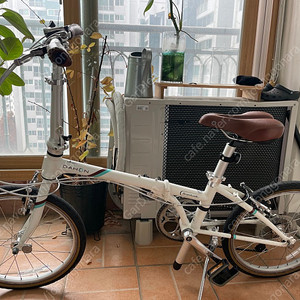 다혼 보드워크 D7 2세대 화이트 접이식 자전거 미니벨로 판매