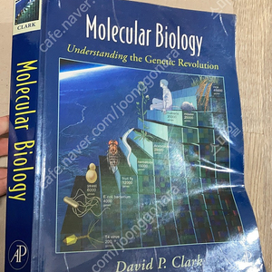 분자생물학/MOLECULAR BIOLOGY-UNDERSTANDING THE GENETIC REVOLUTION CLARK 영문원서 팝니다