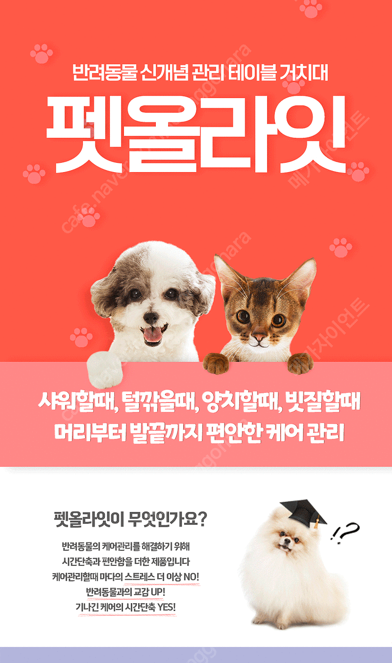 [새상품] 반려견, 반려묘를 위한 펫올라잇 목욕, 미용 거치대 무료배송