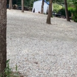 재생 골재 필요하신분 무료나눔 (대량만)