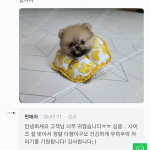 고프로 히어로7 블랙 본체만 삽니다