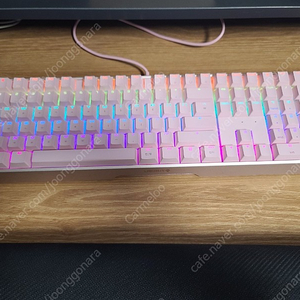 체리 mx board 3.0s rgb 청축 게이밍 키보드