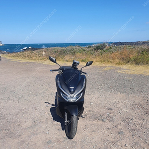 PCX125 20년식