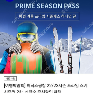 휘닉스파크 시즌권 자녀혜택 36만원-2매있음