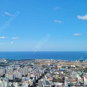 고층 오션뷰 그랜드 하얏트 제주