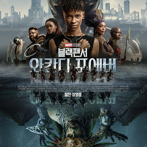 CGV 1장당 8500원 / 매점쿠폰증정 (모든극장 가능)