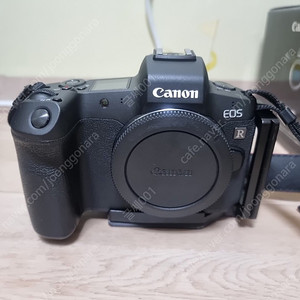 [CANNON][EOS-R] Canon 캐논 EOS-R BODY ONLY 민트급