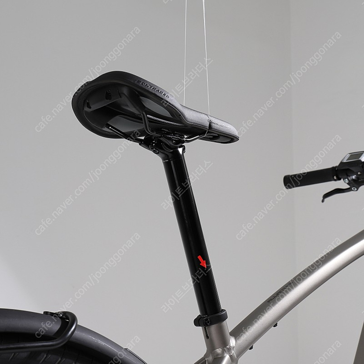 트렉 2021 Allant+ 8[M] 165-175cm[160대-170대] 라이트브라더스 BZZ1WTMFZY 이미지