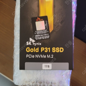 P31 골드 1TB 1테라 NVME M.2 SSD