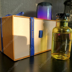 루이비통 선송 100ml