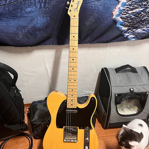 펜더 50s 텔레캐스터 판매 (fender 50s telecaster)