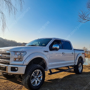 F150 플루티늄 2016년식 팝니다