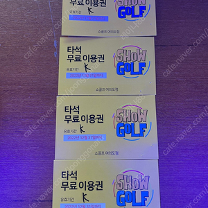 여의도쇼골프 이용권 4매