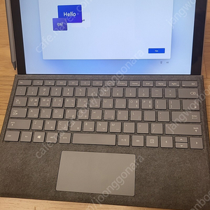 마이크로소프트 서피스 MS Surface 7+ Pro (기업용), 25년 4월까지 Warranty, i5 / 16GB RAM / 256GB SSD LTE