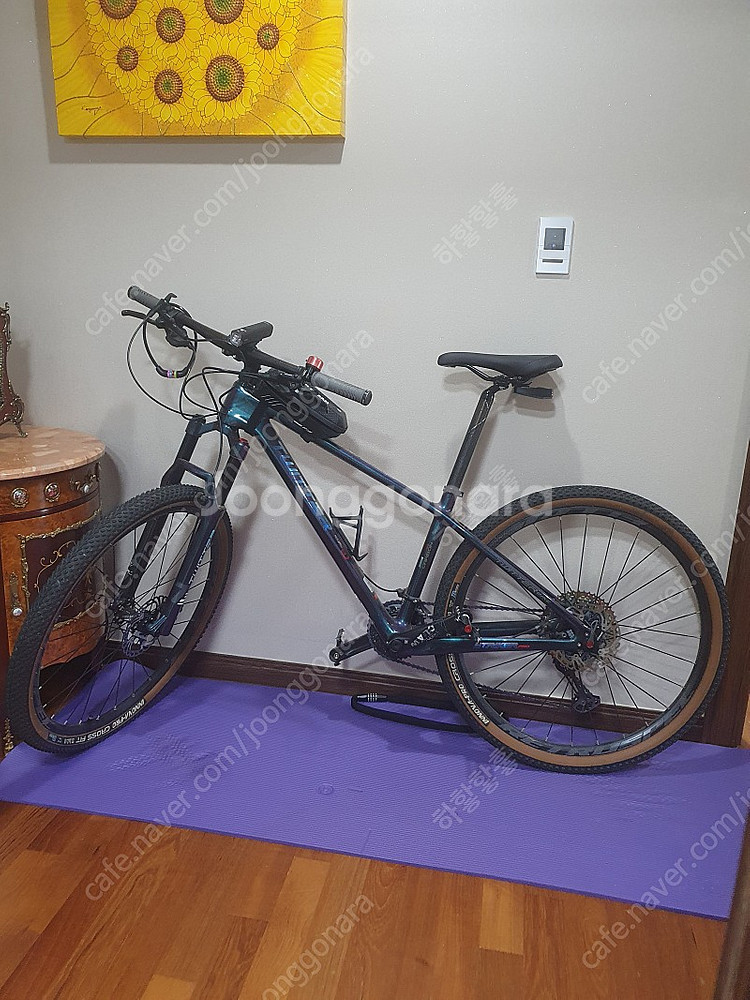 트위터 풀카본 striker pro MTB 부산 양산물금 직거래만요!--0