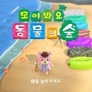 모여봐요 동물의 숲 삽니다 45000