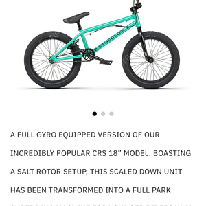 2021 wethepeople bmx 18인치