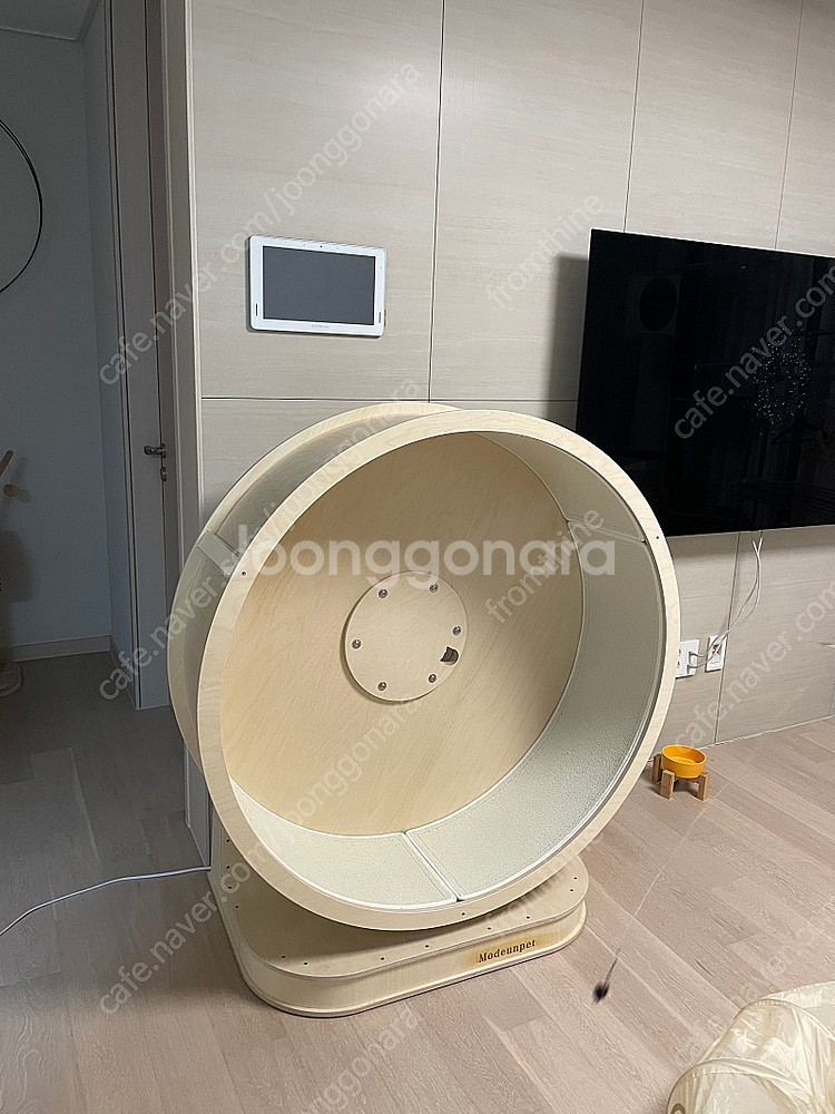 무소음 모든펫 캣휠 새것과 가까운거 눈물 머금고 팝니다--1