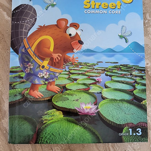 리딩스트릿 reading street common core 1.3