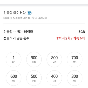 Skt 데이터 2기가 2000