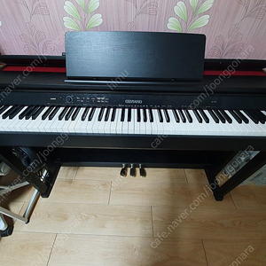 카시오ap450 전자피아노 판매