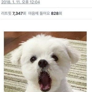 에버랜드 자유이용권