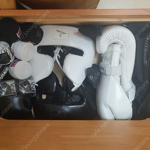 복싱 글러브 판매(페넘 스파링글러브셋트)