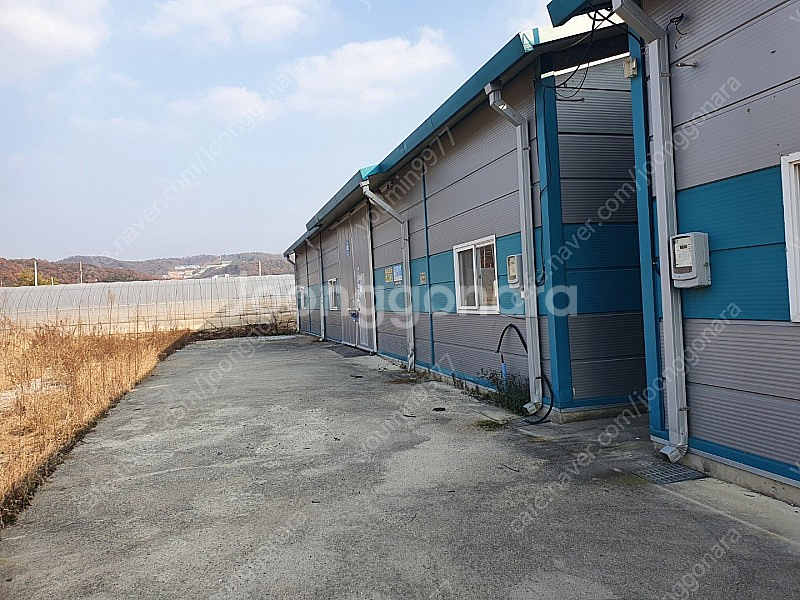 샌드위치판넬 ,조립식판넬,중고판넬 담주 해체 합니다, ...--6