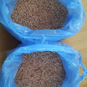 강원도유기농찰수수쌀