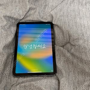 아이패드 미니6 셀룰러 256G
