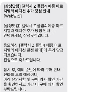 삼성 Z플립4 메종 마르지엘라 에디션