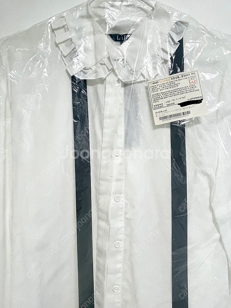 LAP 리본 블라우스--1