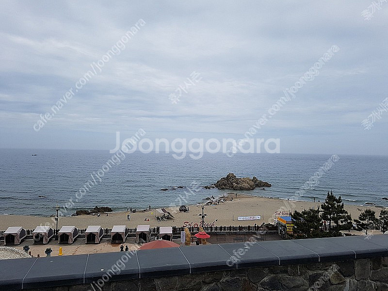 오늘(12/3/토) 바로 사용가능 객실 (리조트/콘도)--0
