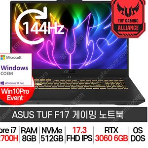 ASUS 게이밍 노트북 FX707ZM 17인치 정품 윈도우 10