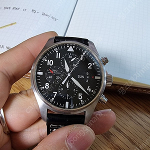 IWC 파일럿