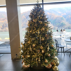 삼성케어플러스 삽니다 양도해주실분