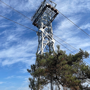 지산 시즌권 구매합니다