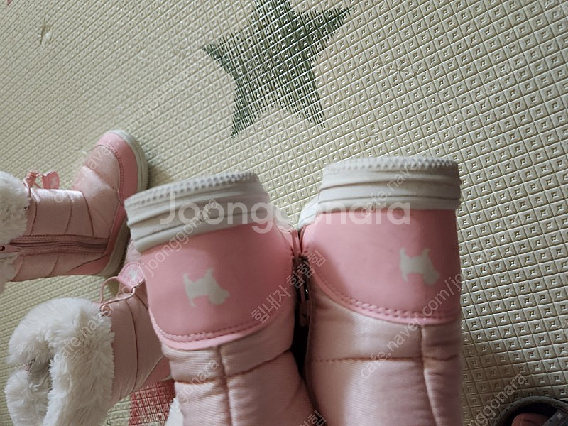 블루독 부치 쌍둥이 170.--1