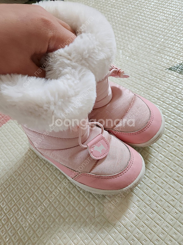 블루독 부치 쌍둥이 170.--3
