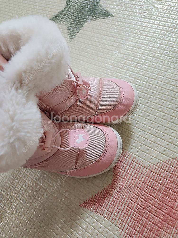 블루독 부치 쌍둥이 170.--5