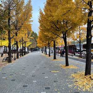 용아맥 아바타2 12/19일 월요일 17시 2연석 구합니다
