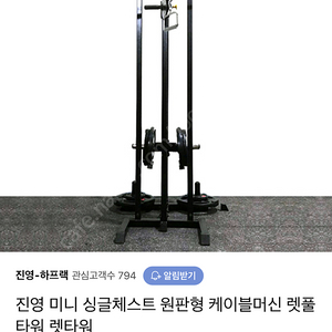 진영 케이블 머신 렛 타워 홈짐