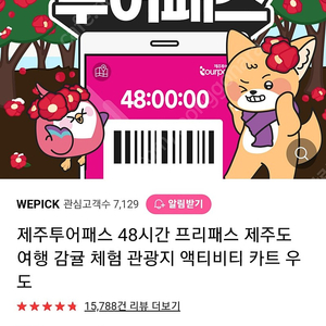 제주패스 48시간 2매 28000원